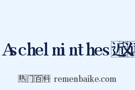Aschelminthes近义词是什么意思的图片